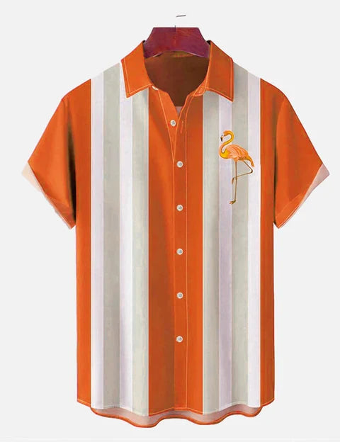 Camisa de manga corta con raya flamenca